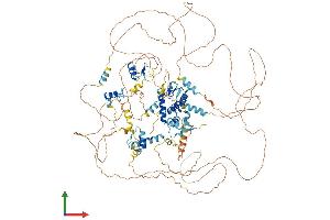AlphaFold protein structure predicition of Human Recombinant TSHZ2 Protein, UniprotID Q9NRE2 (TSHZ2 Protein (AA 1-1034) (His tag))