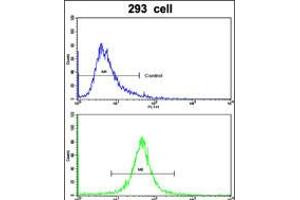 Flow cytometric analysis of 293 cells using ABCC5 Antibody (bottom histogram) compared to a negative control cell (top histogram). (ABCC5 antibody  (AA 625-652))