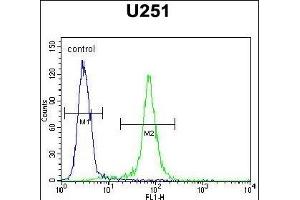 CCDC9 Antibody (N-term) (ABIN654741 and ABIN2844427) flow cytometric analysis of  cells (right histogram) compared to a negative control cell (left histogram). (CCDC9 antibody  (N-Term))