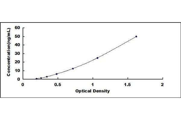 CD5 ELISA Kit