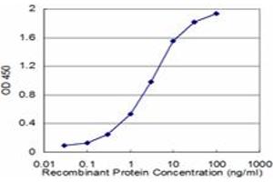 Detection limit for recombinant GST tagged PON1 is approximately 0. (PON1 antibody  (AA 246-355))