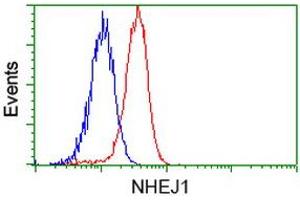 Flow cytometric Analysis of Hela cells, using anti-NHEJ1 antibody (ABIN2453349), (Red), compared to a nonspecific negative control antibody (TA50011), (Blue).