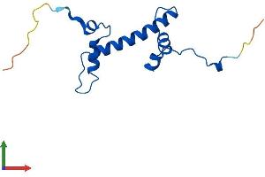 AlphaFold protein structure predicition of Human Recombinant H2AZ2 Protein, UniprotID Q71UI9 (H2AFV Protein (AA 1-128) (His tag))