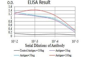 Black line: Control Antigen (100 ng);Purple line: Antigen (10ng); Blue line: Antigen (50 ng); Red line:Antigen (100 ng) (Phospholipase C gamma 1 antibody  (AA 39-181))