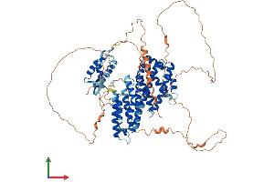 AlphaFold protein structure predicition of Human Recombinant RFX4 Protein, UniprotID Q33E94