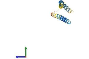 AlphaFold protein structure predicition of Human Recombinant CT83 Protein, UniprotID Q5H943
