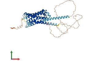 AlphaFold protein structure predicition of Human Recombinant HRH1 Protein, UniprotID P35367
