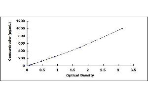 Typical standard curve (Selectin E/CD62e ELISA Kit)