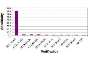 Histone H3 dimethyl Lys4 antibody specificity tested by peptide array analysis.