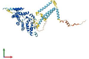 AlphaFold protein structure predicition of Human Recombinant ST7 Protein, UniprotID Q9NRC1