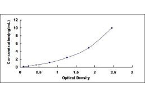 LRP6 ELISA Kit