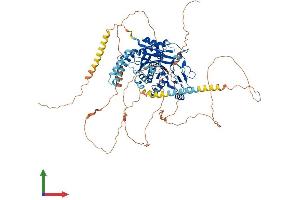 AlphaFold protein structure predicition of Mouse Recombinant Ttll6 Protein, UniprotID A4Q9E8 (TTLL6 Protein (AA 1-822) (His tag))
