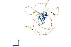 Protein Structure (PS) image for ELK1, Member of ETS Oncogene Family (ELK1) (AA 1-428) protein (His tag) (ABIN7547419)