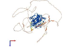 AlphaFold protein structure predicition of Mouse Recombinant Haspin Protein, UniprotID Q9Z0R0 (GSG2 Protein (AA 1-754) (His tag))