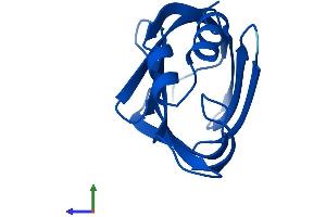 AlphaFold protein structure predicition of Human Recombinant CRABP2 Protein, UniprotID P29373 (CRABP2 Protein (AA 1-138) (His tag))