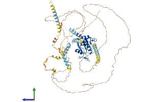 Protein Structure (PS) image for YTH Domain Containing 1 (YTHDC1) (AA 1-727) protein (His tag) (ABIN7556064)
