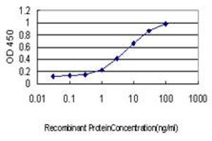 Detection limit for recombinant GST tagged ISGF3G is approximately 0. (IRF9 antibody  (AA 1-393))