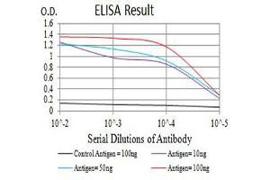 Black line: Control Antigen (100 ng),Purple line: Antigen (10 ng), Blue line: Antigen (50 ng), Red line:Antigen (100 ng) (CSF3R antibody  (AA 25-187))