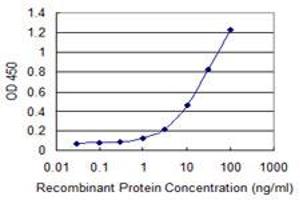 Detection limit for recombinant GST tagged CD3EAP is 0. (CD3EAP antibody  (AA 2-110))