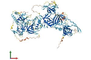 AlphaFold protein structure predicition of Mouse Recombinant Ctc1 Protein, UniprotID Q5SUQ9