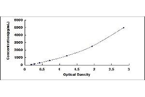 Typical standard curve (Retinoid X Receptor gamma ELISA Kit)