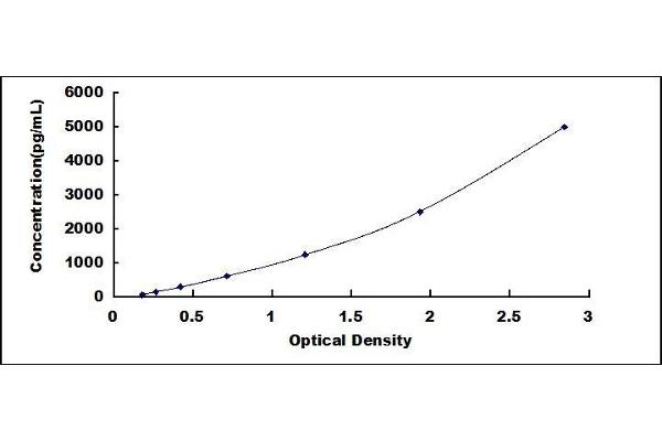 Retinoid X Receptor gamma ELISA Kit