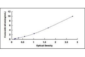 Typical standard curve (ERCC4 ELISA Kit)