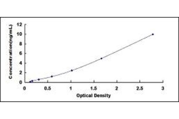 ERCC4 ELISA Kit