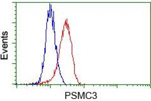 Image no. 4 for anti-Proteasome (Prosome, Macropain) 26S Subunit, ATPase, 3 (PSMC3) antibody (ABIN1501331) (PSMC3 antibody)