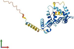 AlphaFold protein structure predicition of Human Recombinant KCNIP1 Protein, UniprotID Q9NZI2