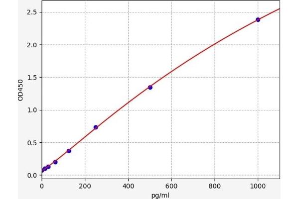 RXFP1 ELISA Kit