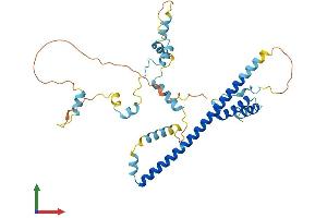 AlphaFold protein structure predicition of Human Recombinant FEZ2 Protein, UniprotID Q9UHY8