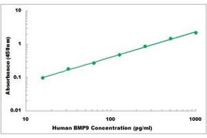 Representative Standard Curve (GDF2 ELISA Kit)