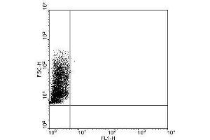 THP1 cells were incubated with IgG2a isptype controle (A) or α-TLR9 5G5 mAb (B). (TLR9 antibody)