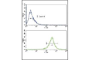 Flow Cytometry (FACS) image for anti-Fibroblast Growth Factor Receptor 4 (FGFR4) (AA 24-55), (N-Term) antibody (ABIN391970)
