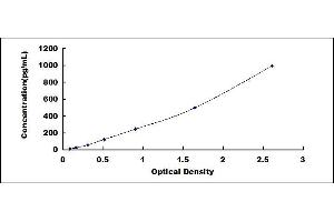 Typical standard curve (Prokineticin 1 ELISA Kit)