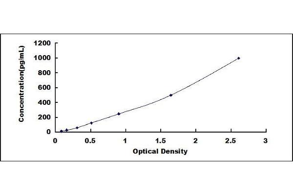 Prokineticin 1 ELISA Kit