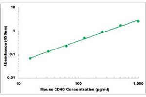 Representative Standard Curve (CD40 ELISA Kit)