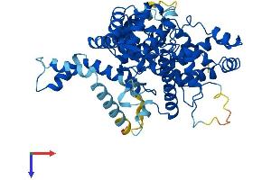 Protein Structure (PS) image for TBC1 Domain Family, Member 19 (TBC1D19) (AA 1-526) protein (His tag) (ABIN7544141)