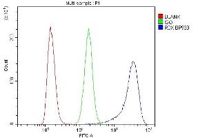 Flow Cytometry analysis of K562 cells using anti-RDX antibody (ABIN7602767).