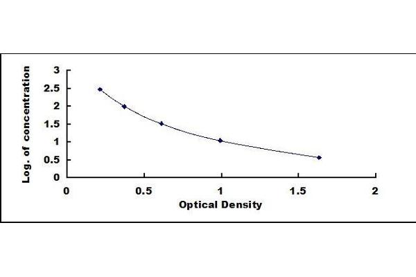 Vitamin B6 ELISA Kit