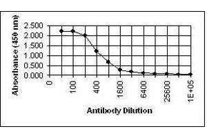 ELISA image for anti-Glycoprotein H (gH) antibody (ABIN265605) (Glycoprotein H (gH) antibody)