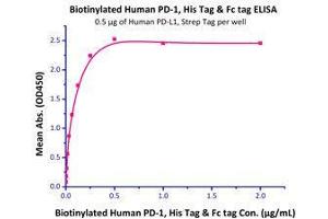 Immobilized Human PD-L1, Strep Tag  with a linear range of 2-60 ng/mL. (PD-L1 Protein (AA 19-238) (Strep Tag))