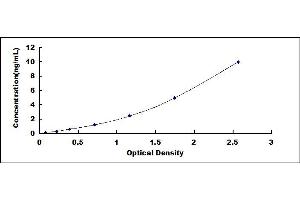 Typical standard curve (MVP ELISA Kit)