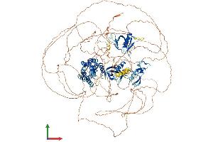 AlphaFold protein structure predicition of Human Recombinant FGD5 Protein, UniprotID Q6ZNL6