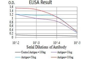Black line: Control Antigen (100 ng);Purple line: Antigen (10ng); Blue line: Antigen (50 ng); Red line:Antigen (100 ng) (RALB antibody  (AA 89-206))