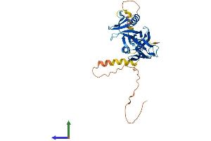 AlphaFold protein structure predicition of Human Recombinant DOK6 Protein, UniprotID Q6PKX4 (DOK6 Protein (AA 1-331) (His tag))