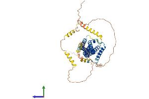 AlphaFold protein structure predicition of Mouse Recombinant Ica1 Protein, UniprotID P97411