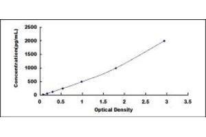 Typical standard curve (CD163 ELISA Kit)