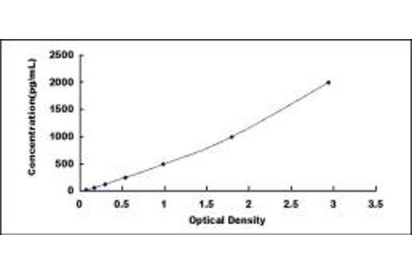 CD163 ELISA Kit
